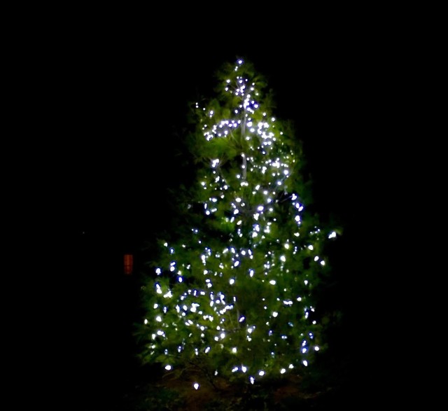 GSR Advent Tree