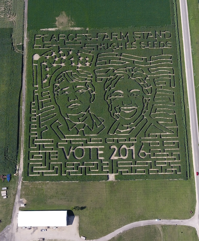 Crop Maze In Pearce's Field