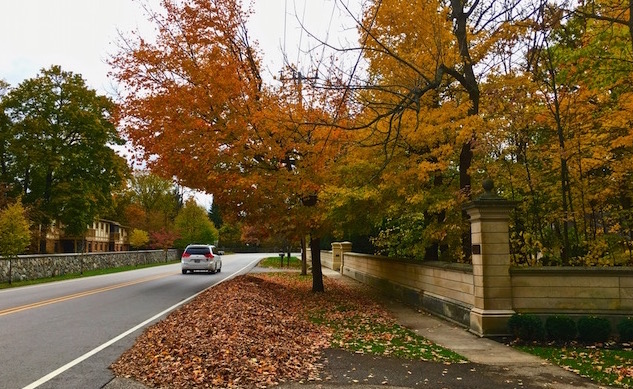 Leaf Pickup Lake Geneva