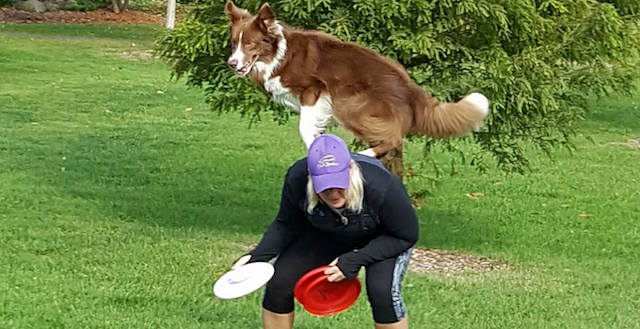ThrillSeekers Dog Sports and Services Lake Geneva