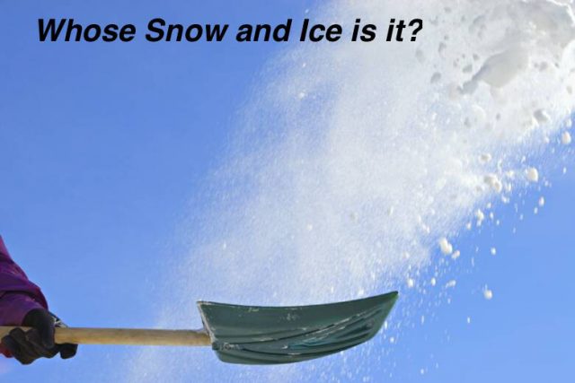 Our Place, January 13, 2016