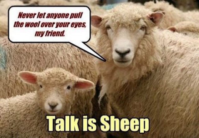 Front Page, February 3, 2016