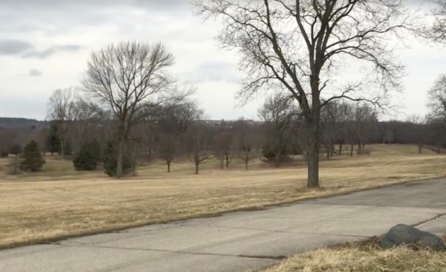 Hillmoor Property Lake Geneva