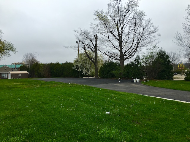 Looking on the Bright Side, April 27, 2016