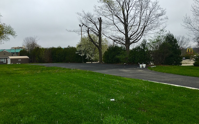 Surprising Stuff, May 4, 2016