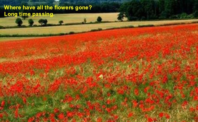 Our Place, April 20, 2016