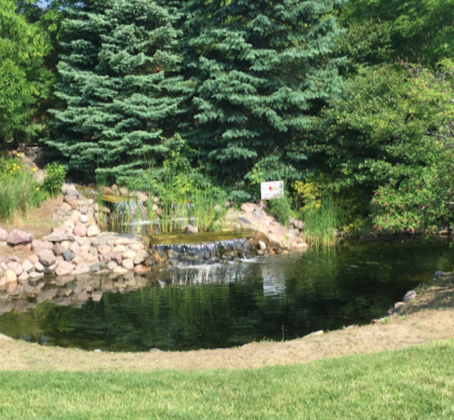 Front Page, June 15, 2016