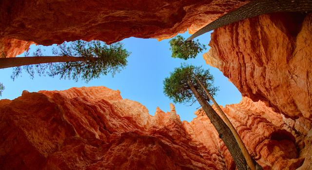 Opinion/Editorial, July 27, 2016, On the Bottom Looking Down