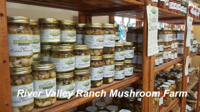 River Valley Mushroom Farms