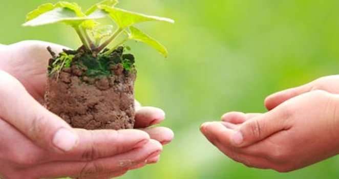 Opinion/Editorial, August 17, 2016