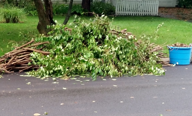 Green Waste Pick Up