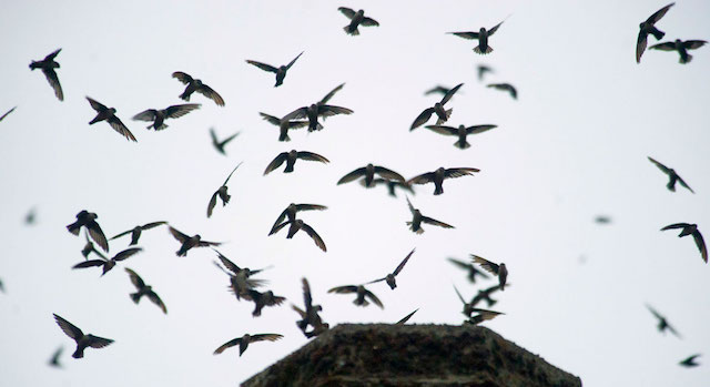 Little Gems, September 14, 2016