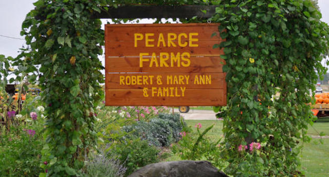 Surprising Stuff, September 19, 2018