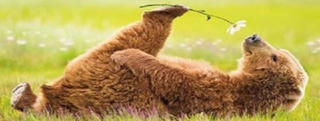 Looking on the Bright Side, September 7, 2016