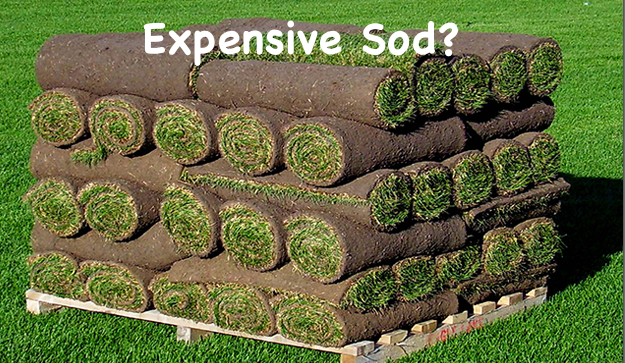 Expensive Sod Lake Geneva