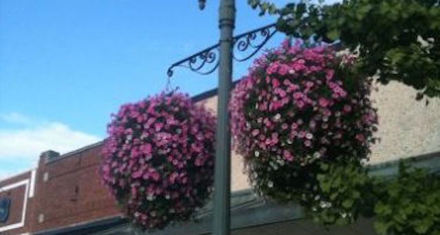 Living Here, June 9, 2021