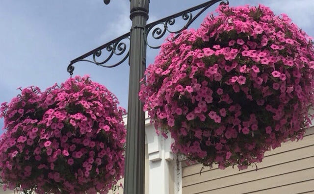 Little Gems, October 12, 2016