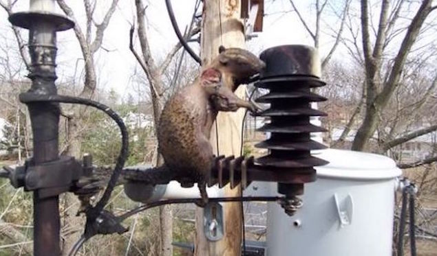 Looking on the Bright Side, October 19, 2016