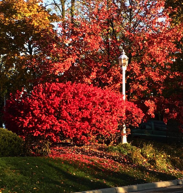 Fall Beauty of Lake Geneva