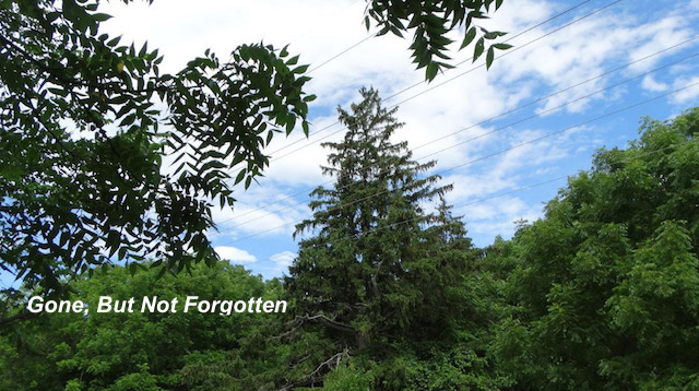 Front Page, November 2, 2016