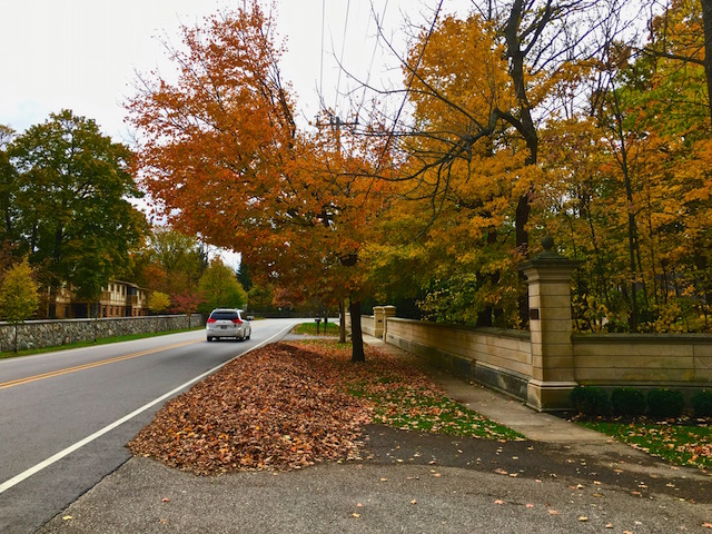 Lake Geneva Leaf Pickup