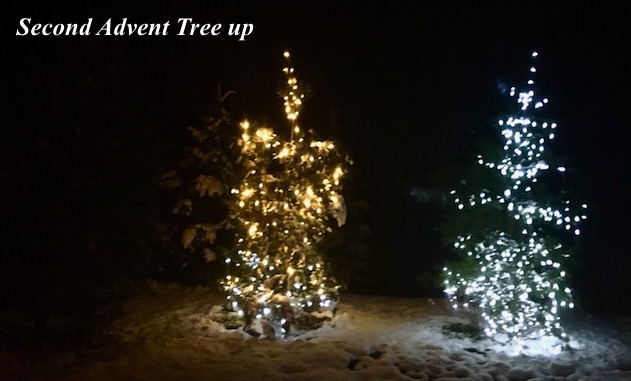 Looking On The Bright Side December 7 2016 Geneva S Report Looking On The Bright Side December 7 2016