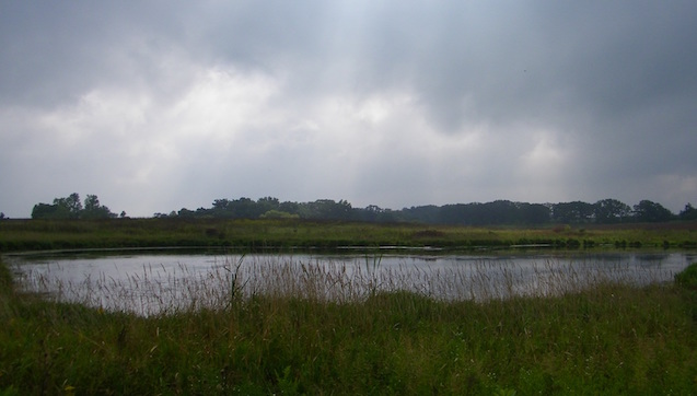 Our Place, January 25, 2017