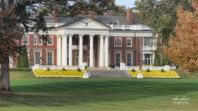 Living Here, January 11, 2017