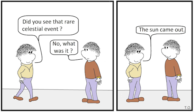 Cartoon Geneva Shore Report