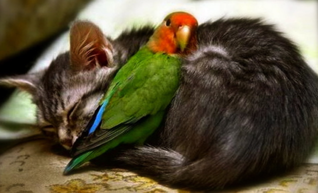 Opinion/Editorial, March 29, 2017