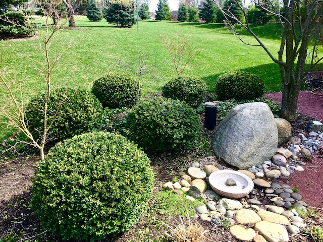 Trimmed Foliage Lake Geneva