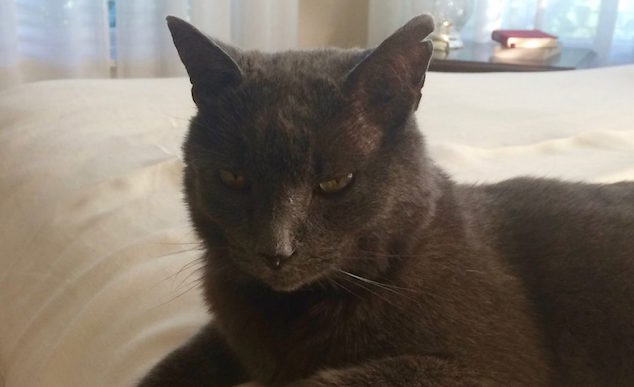 Little Gems, June 14, 2017