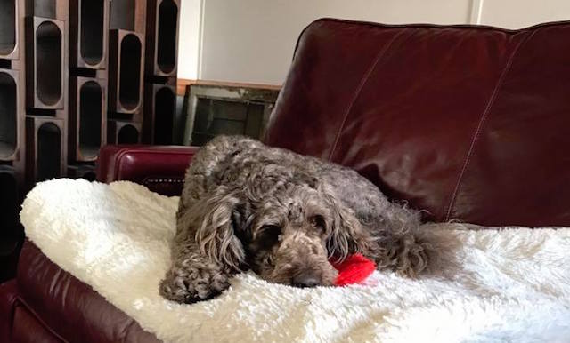 Little Gems, June 28, 2017