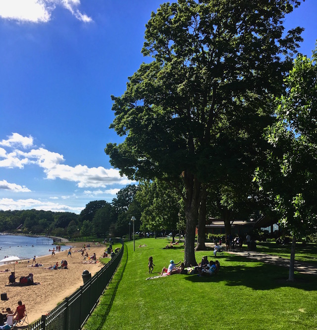 Trees along Beach in City of Lake Geneva