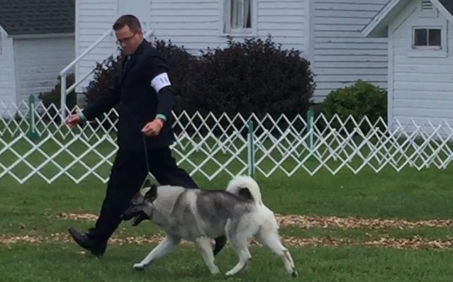 Burlington Kennel Club Show Walworth County