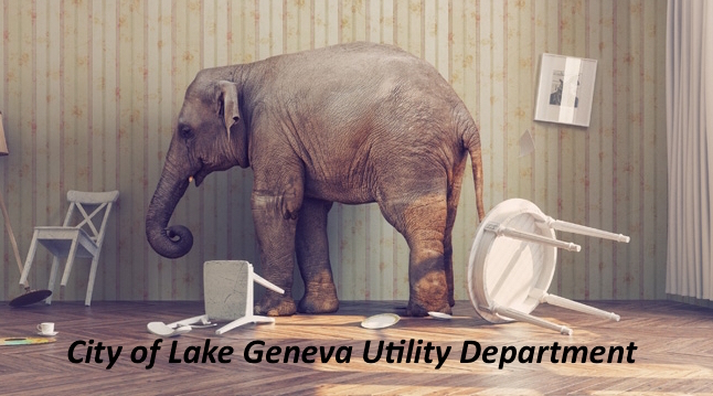 Surprising Stuff, August 23, 2017