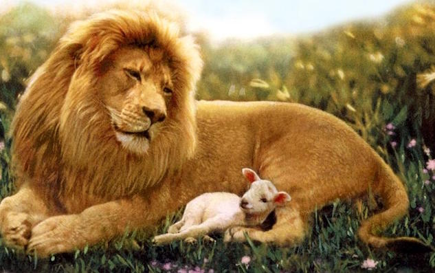 Opinion/Editorial, August 23, 2017