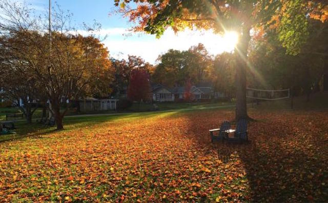 The Bright Side, August 30, 2017