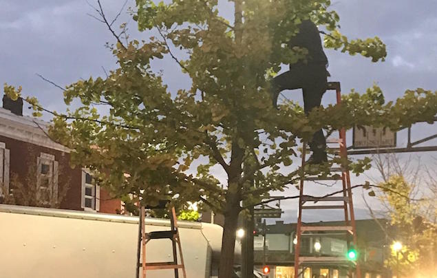 Surprising Stuff, November 8, 2017