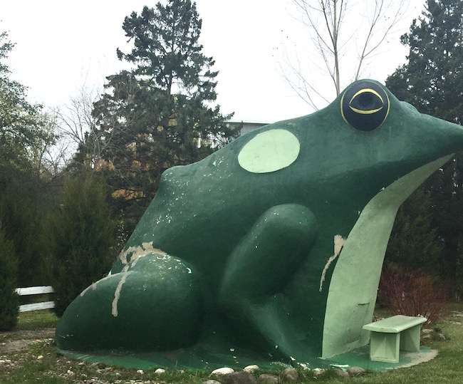 Frog Hollow