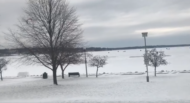 Living Here, January 17, 2018