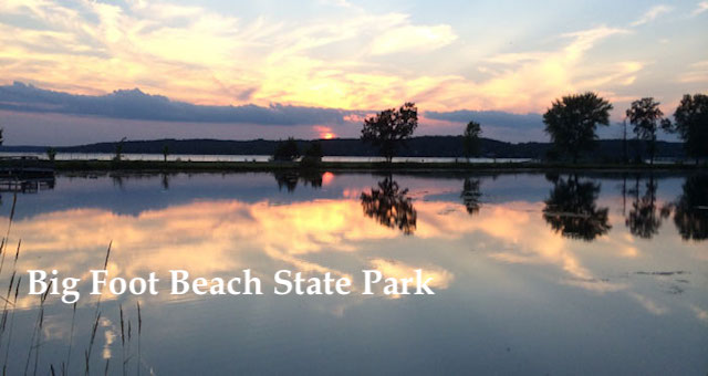 Surprising Stuff, May 16, 2018