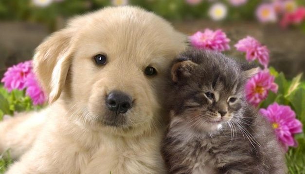 Opinion/Editorial, May 16, 2018