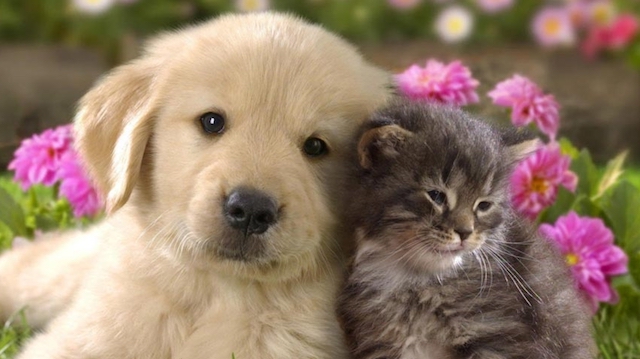 Opinion/Editorial, May 16, 2018