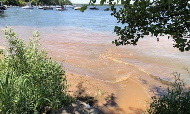 Surprising Stuff, June 6, 2018