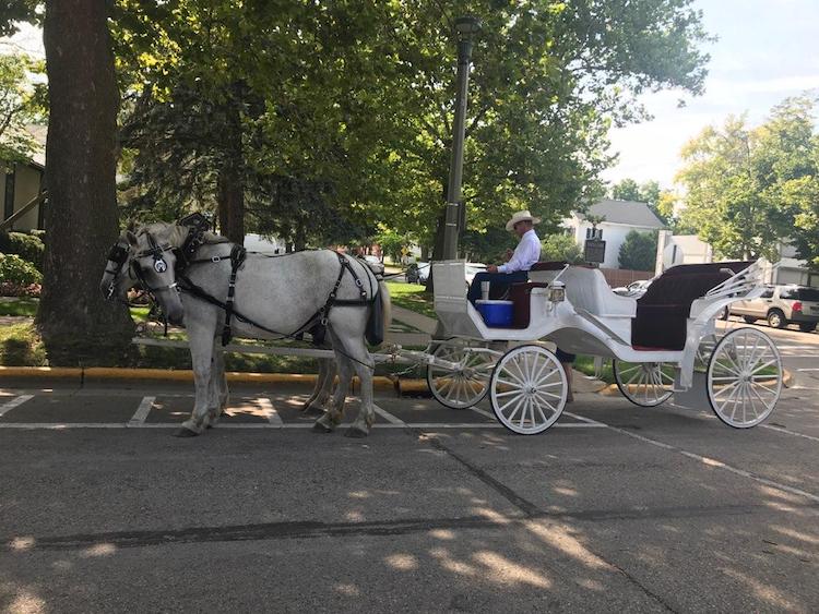 Carriage Ride Lake Geneva