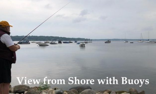 Our Place, August 22, 2018