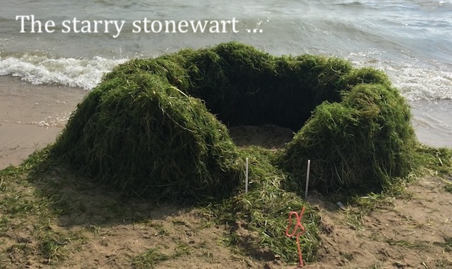 Front Page, August 29, 2018