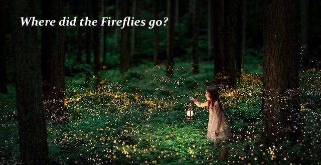 Living Here, August, 2018