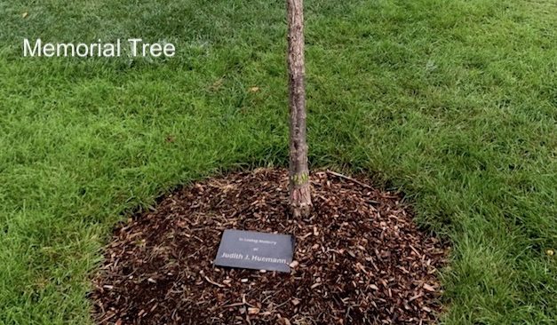 Our Place, September 5, 2018